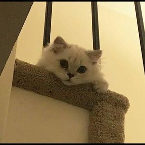 Meet your Posher, Mai